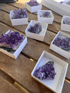 MINI DRUSA AMATISTA | CALMA 🧘