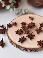 BOLSITA ANÍS ESTRELLADO BOLSA 50gr | PROTECCIÓN | PURIFICACIÓN | FORTUNA | AMOR