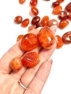 CARNEOLA | VITALIDAD | ENERGIA SEXUAL | ABUNDANCIA