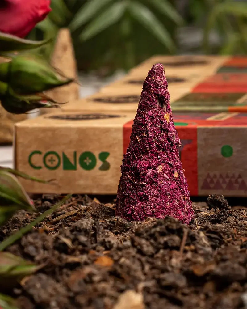 CONOS SAGRADA MADRE ROSAS 🌹