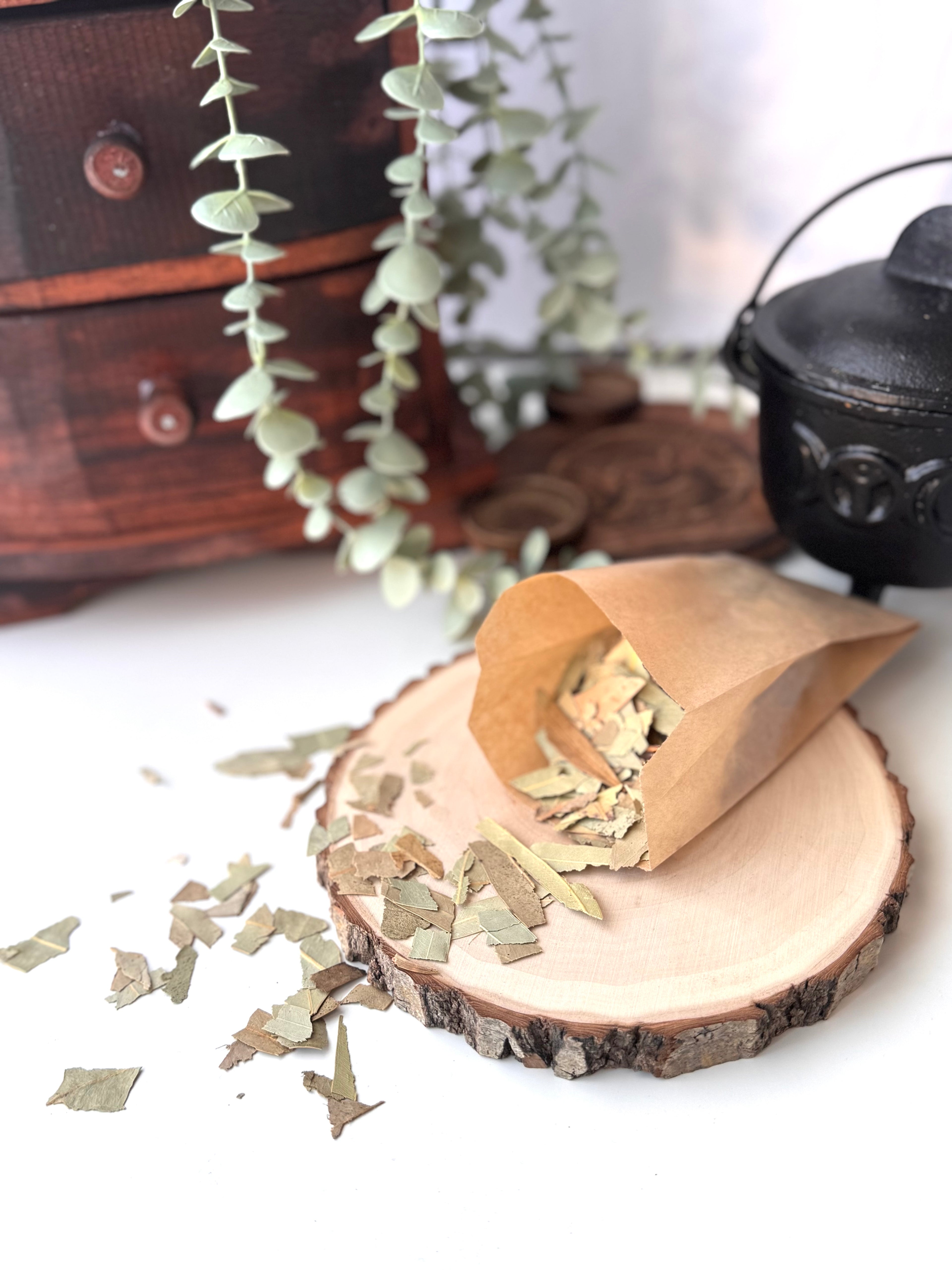 BOLSITA EUCALIPTO EN HOJAS BOLSA 25gr | LIMPIEZA ENERGETICA