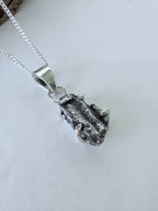 METEORITO CAMPO DE CIELO