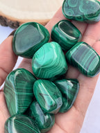 RODADO MALAQUITA EXTRA | TRANSFORMACION