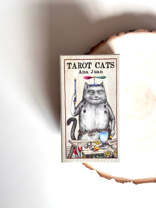 TAROT CATS