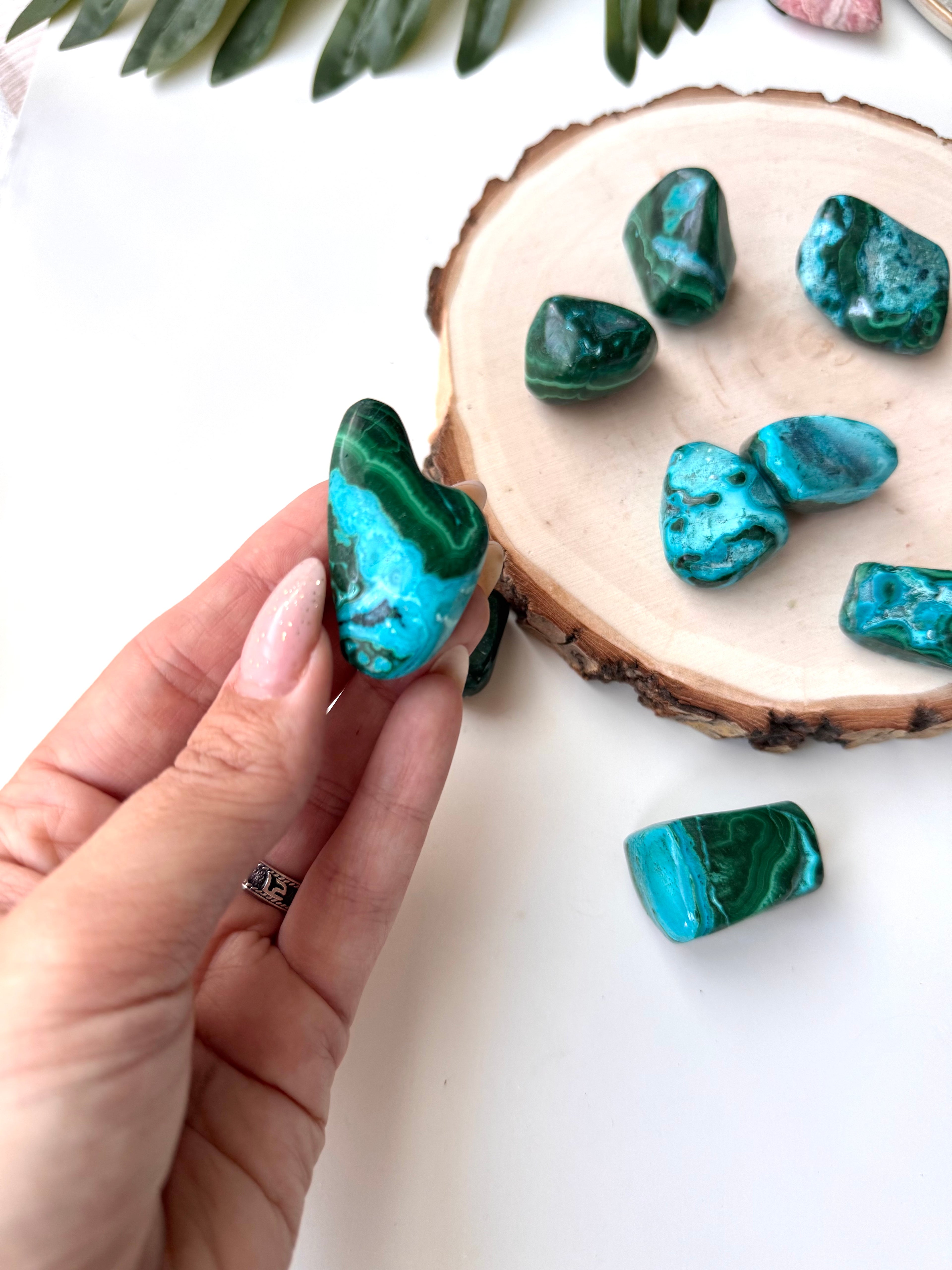 RODADO MALACOLA | TRANSFORMACIÓN | SALUD