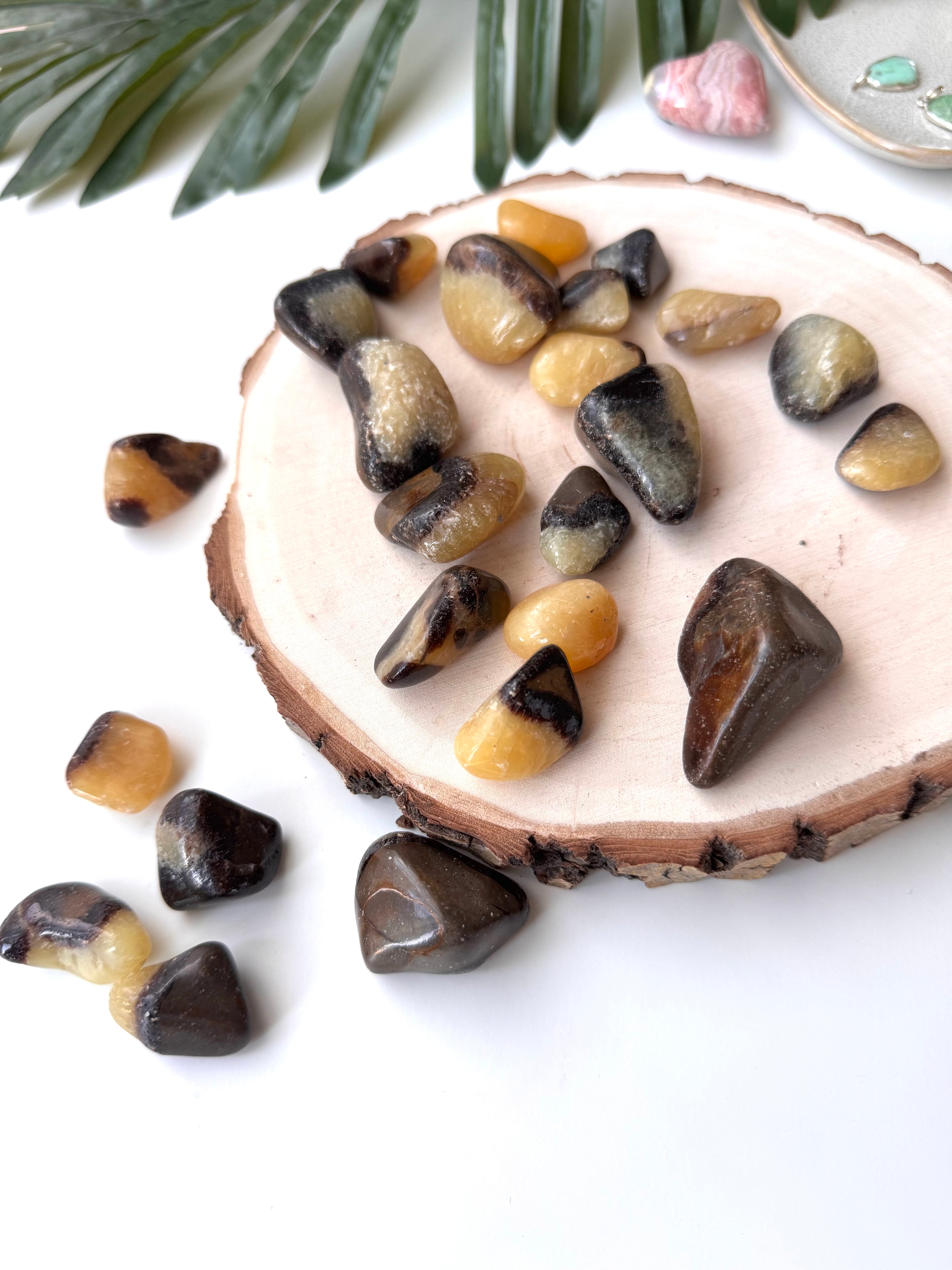 RODADO SEPTARIA | CALMANTE | ALEGRIA