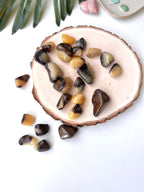 RODADO SEPTARIA | CALMANTE | ALEGRIA