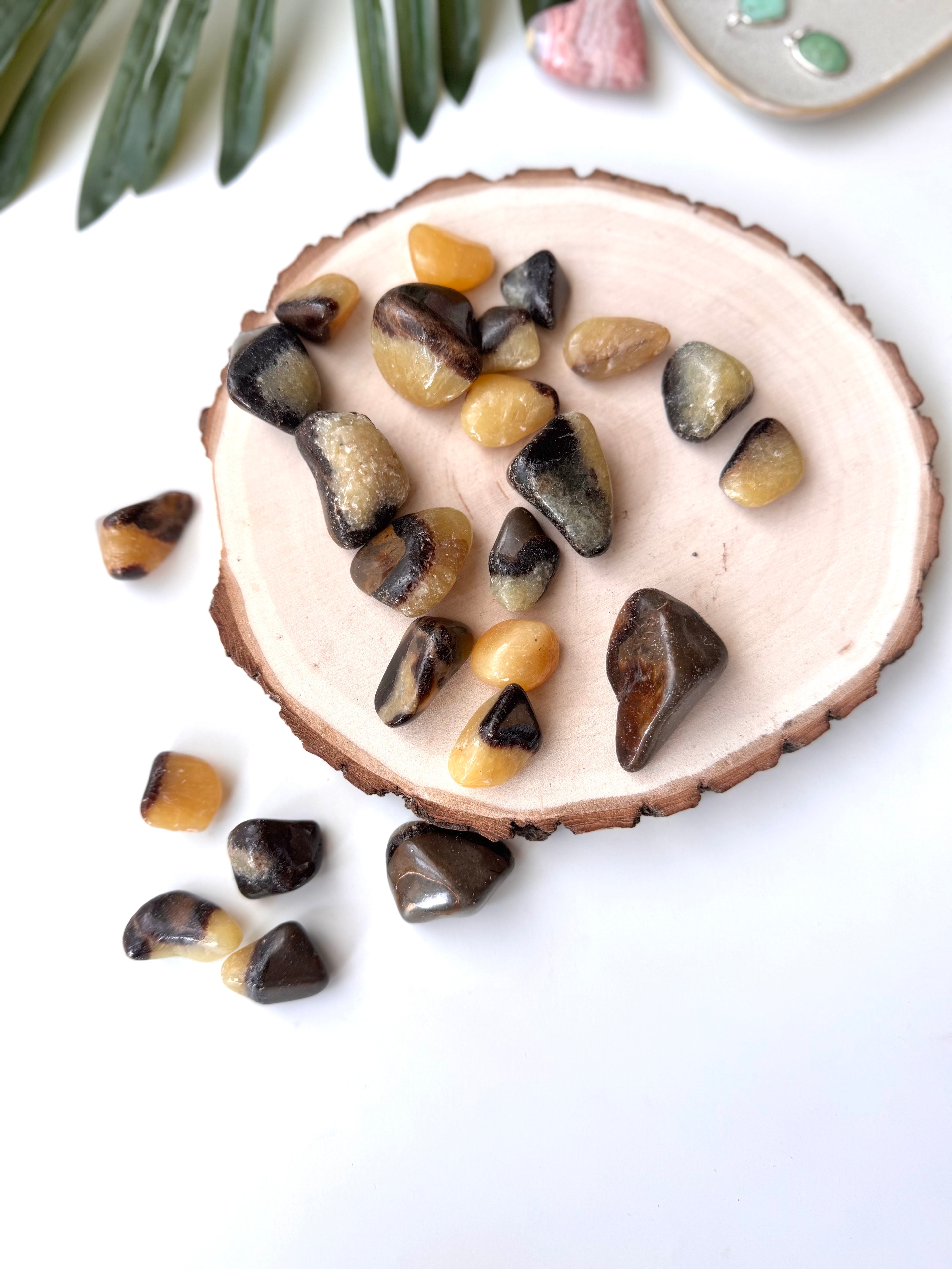 RODADO SEPTARIA | CALMANTE | ALEGRIA