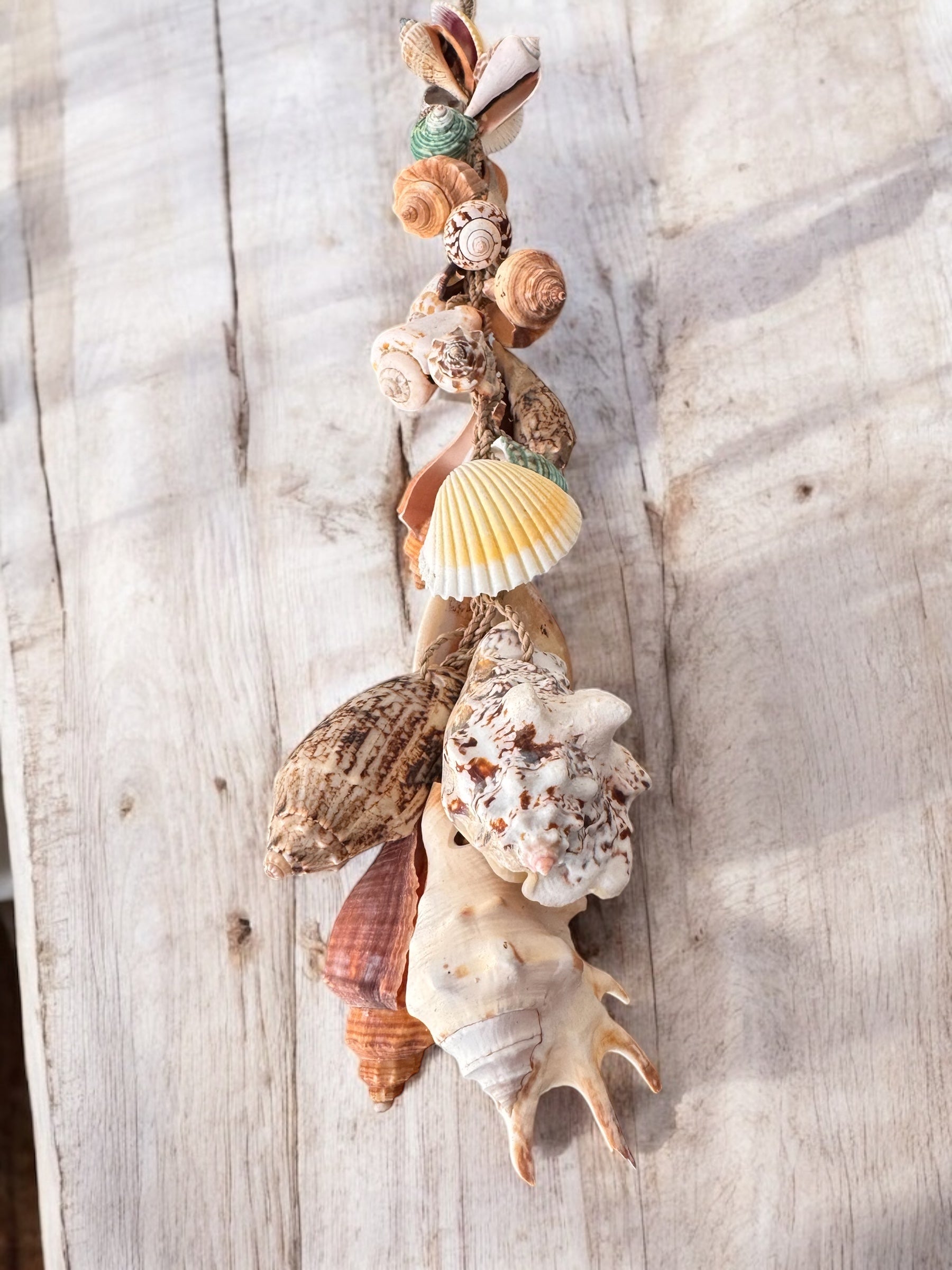 MÓVIL COLGANTE DE CONCHAS 🐚