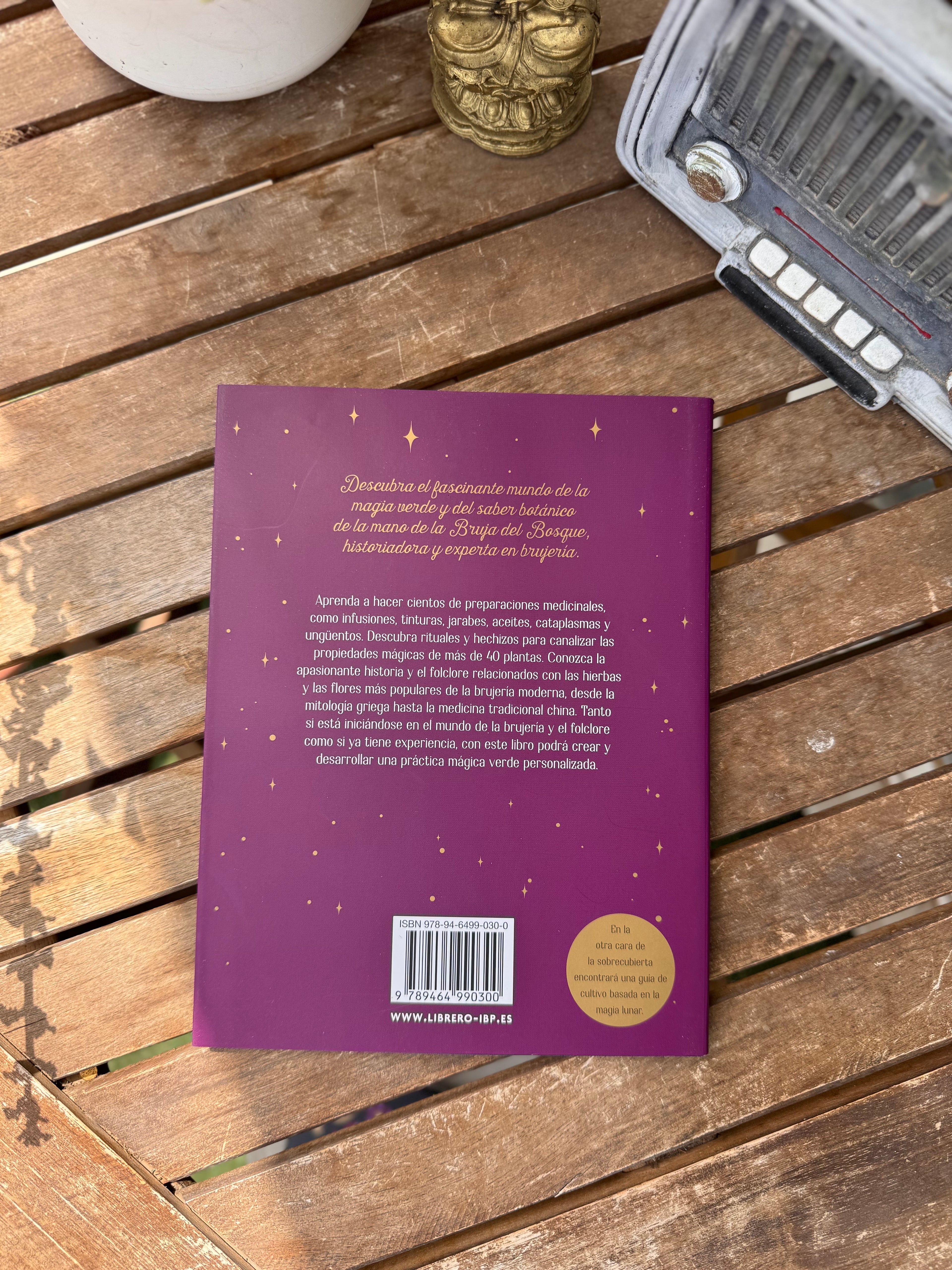 GUÍA DE LA BRUJA DEL BOSQUE | MAGIA TRADICIONAL