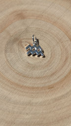 COLGANTE PLATA | AQUARIO