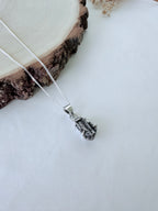 METEORITO CAMPO DE CIELO