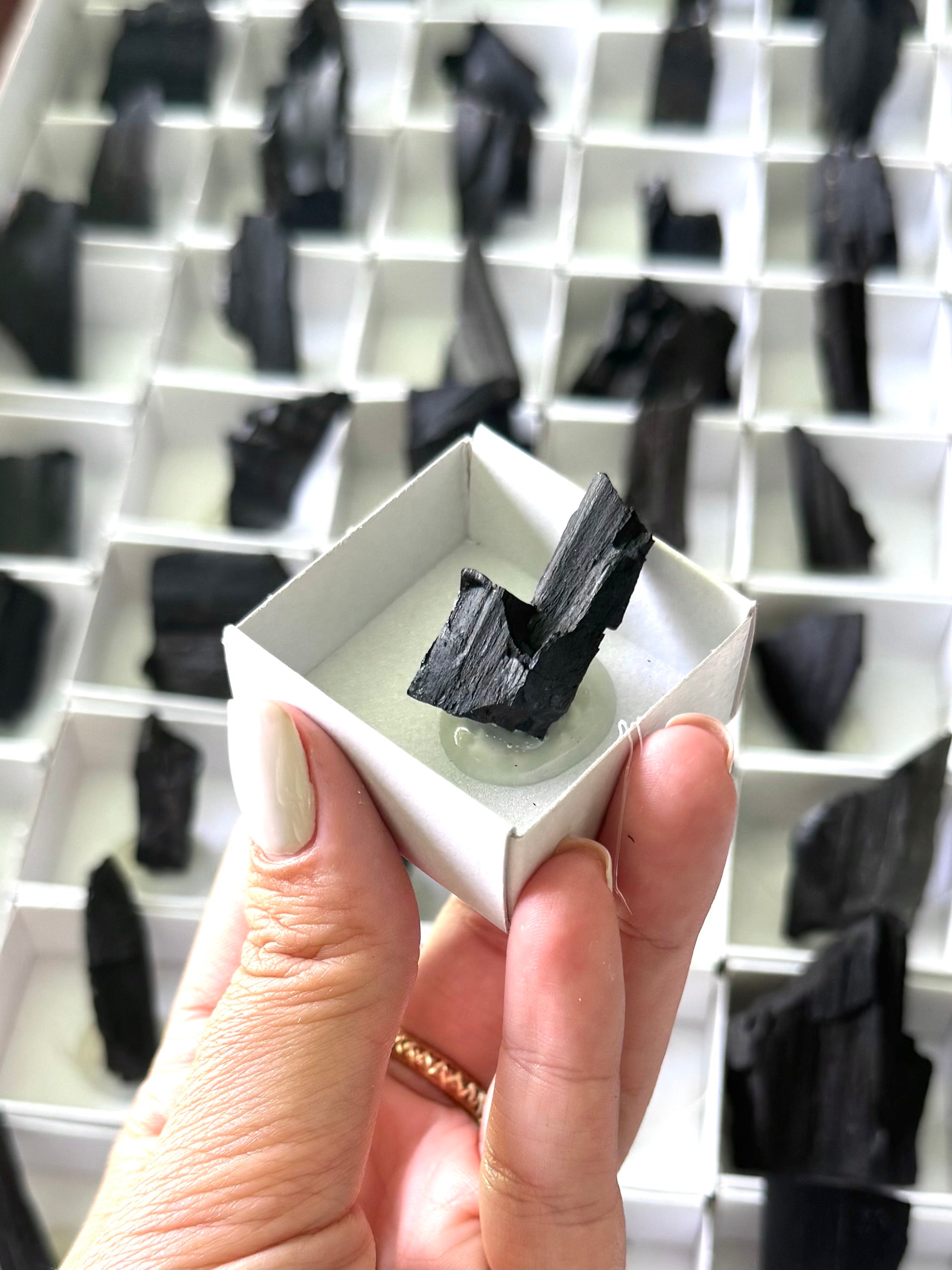 AZABACHE EN BRUTO EDICIÓN LIMITADA