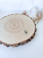 METEORITO CAMPO DE CIELO