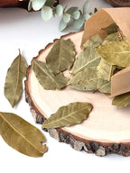 BOLSITA HOJA DE LAUREL 15gr | ÉXITO | PROSPERIDAD