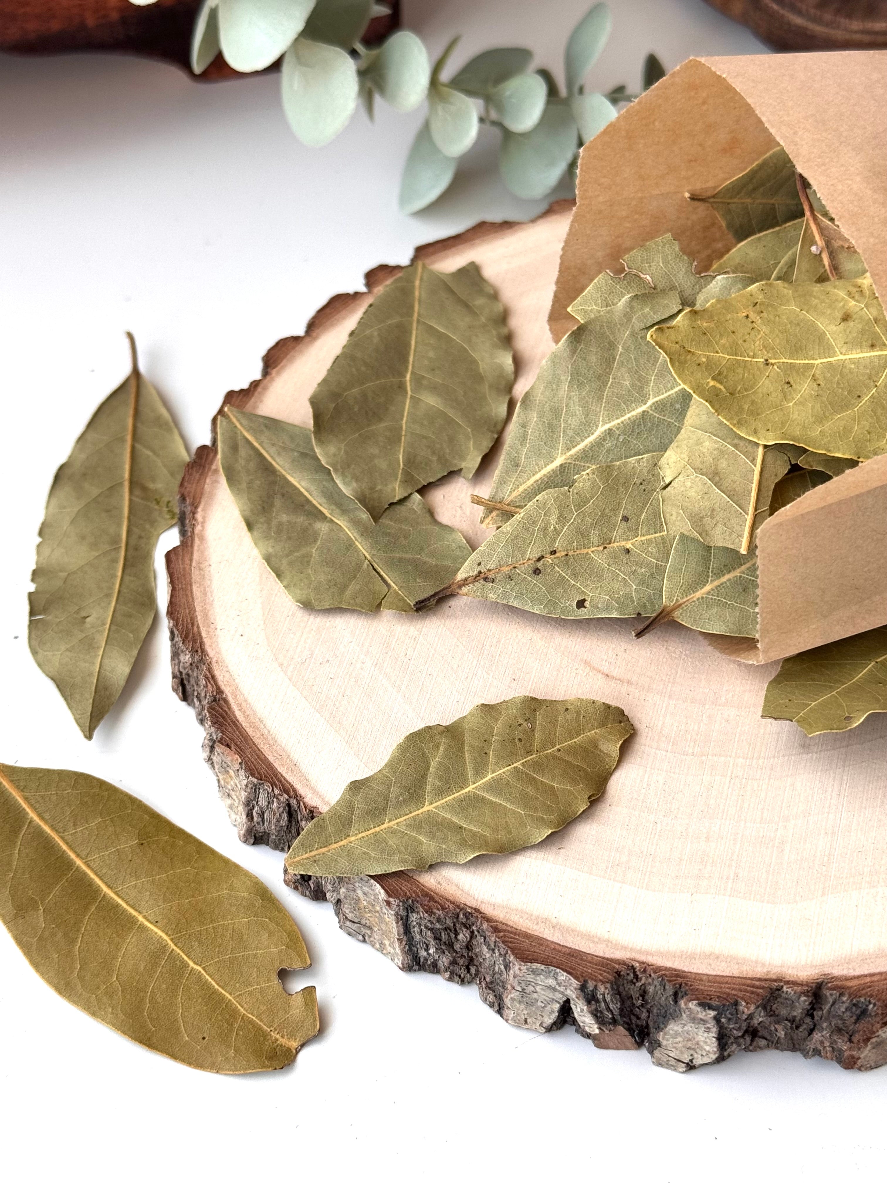 BOLSITA HOJA DE LAUREL 15gr | ÉXITO | PROSPERIDAD