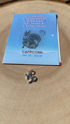 COLGANTE PLATA | CAPRICORNIO