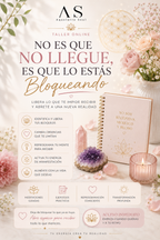 NO ES QUE NO LLEGUE…ES QUE LO ESTÁS BLOQUEANDO (TALLER MANIFESTAR)