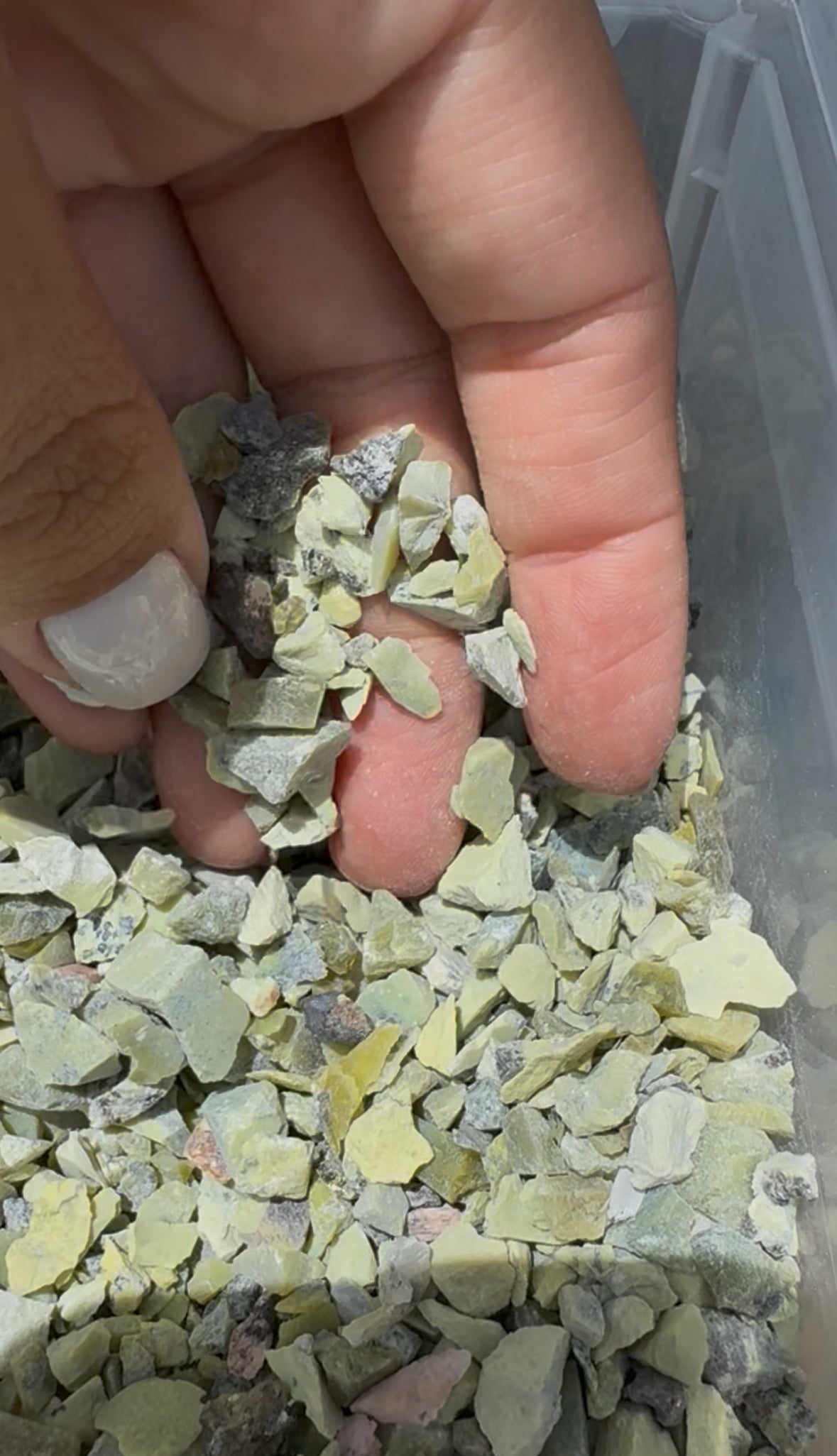 BOLSA CHIPS | SERPENTINA 100G