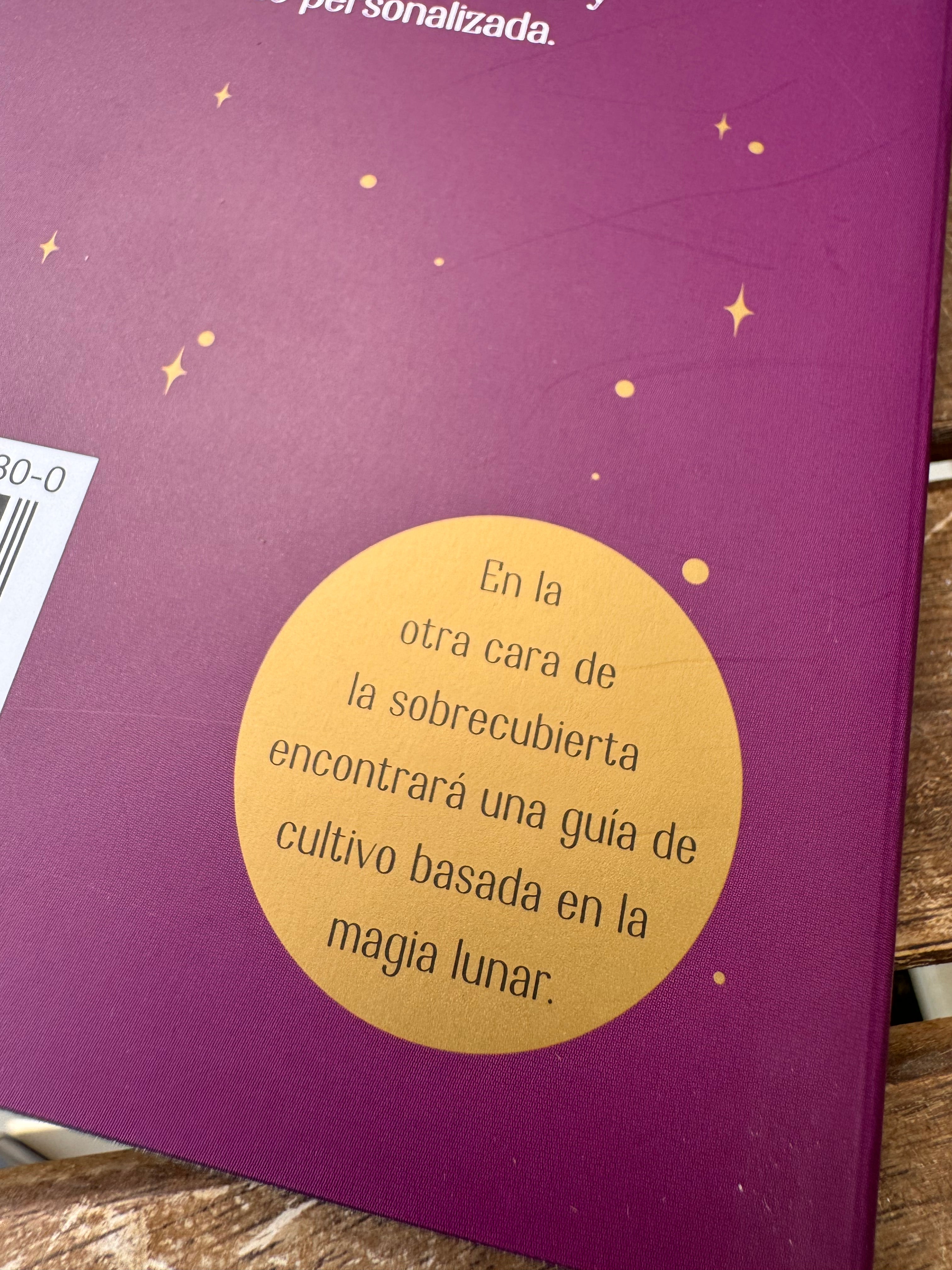 GUÍA DE LA BRUJA DEL BOSQUE | MAGIA TRADICIONAL