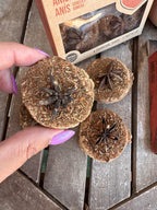 PASTILLAS DEFUMACION ACTIVADA CANELA, ANIS Y ROMERO | ABRECAMINOS