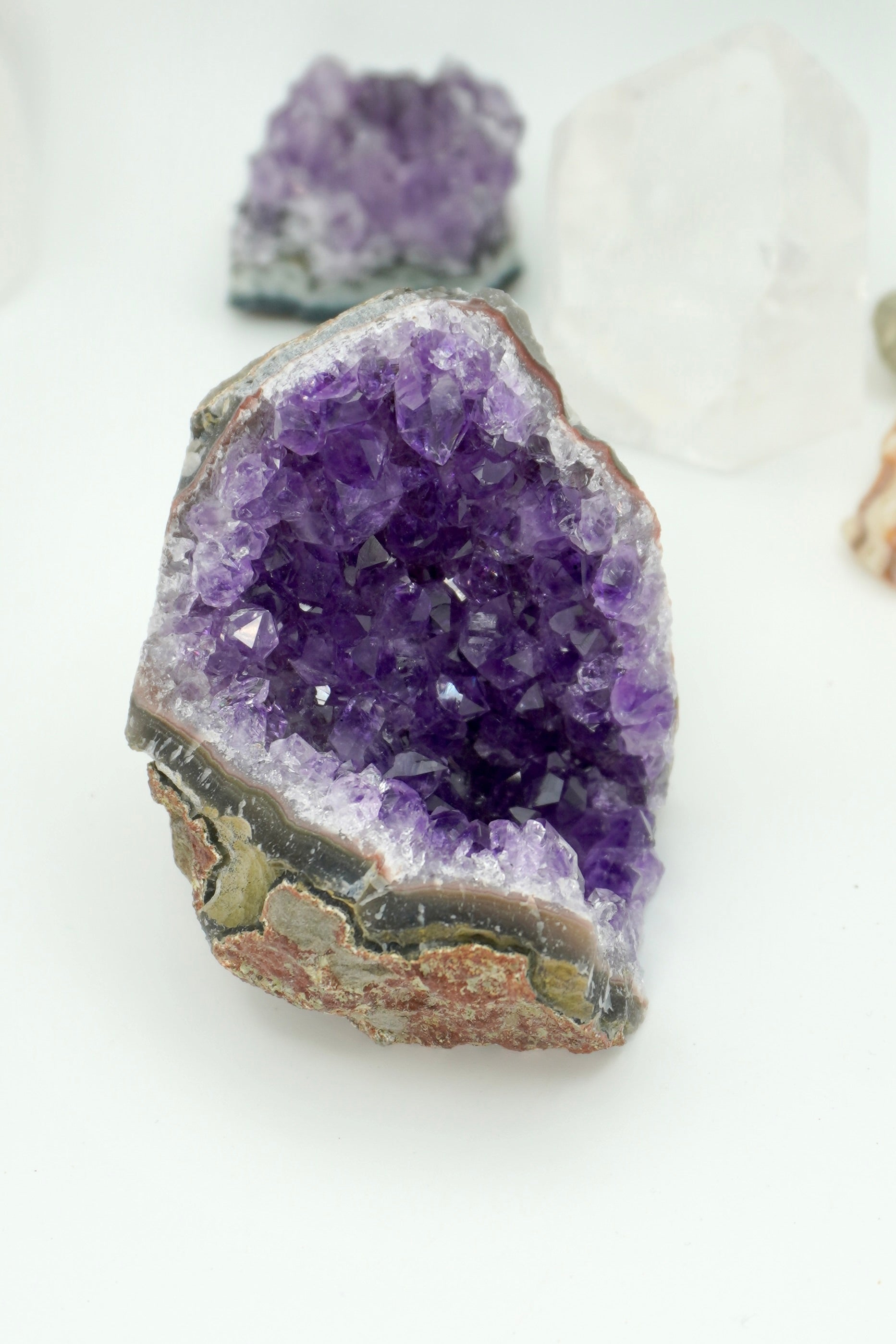 DRUSA AMATISTA BASE PLANA | ELIGE