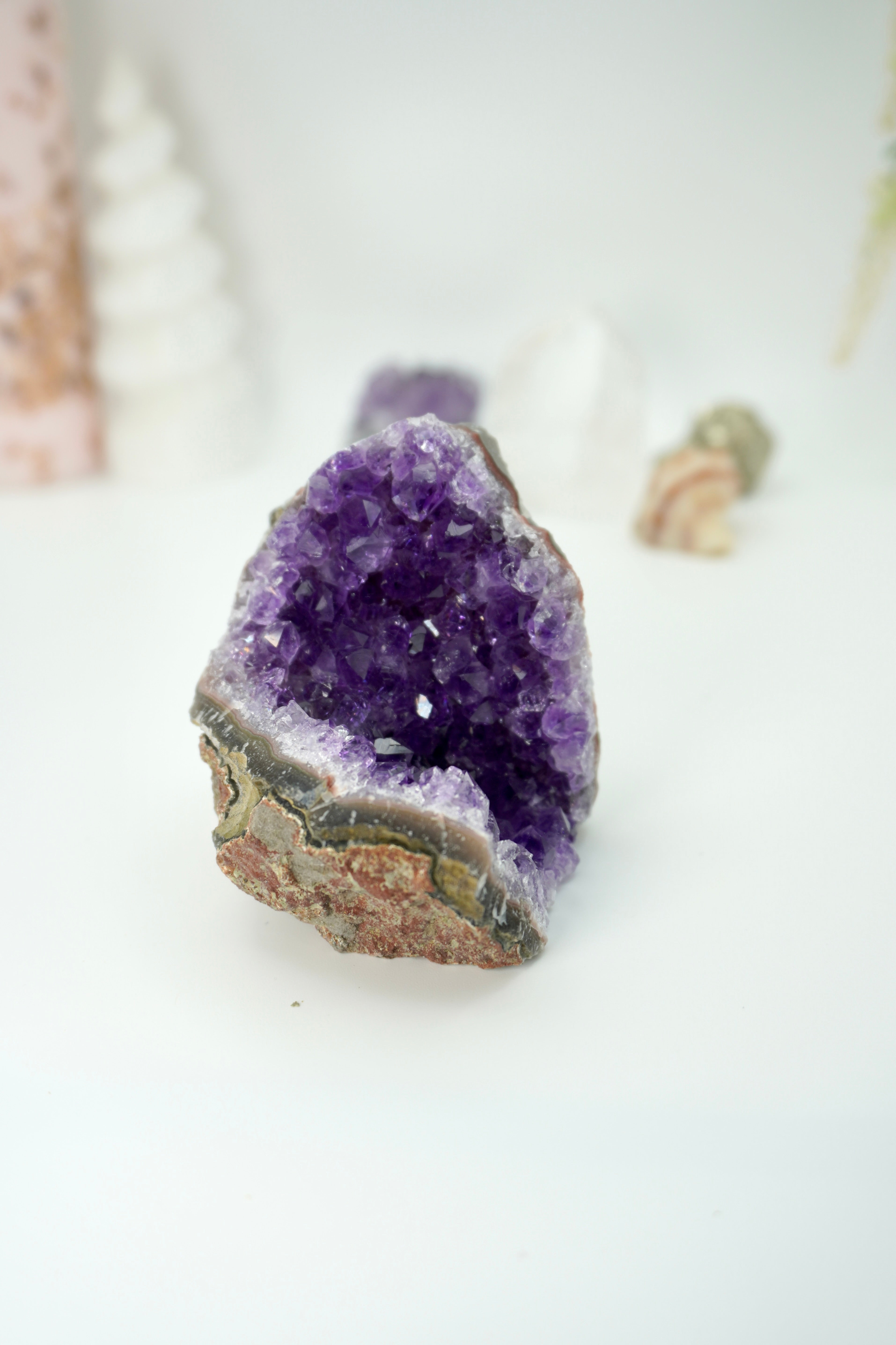 DRUSA AMATISTA BASE PLANA | ELIGE