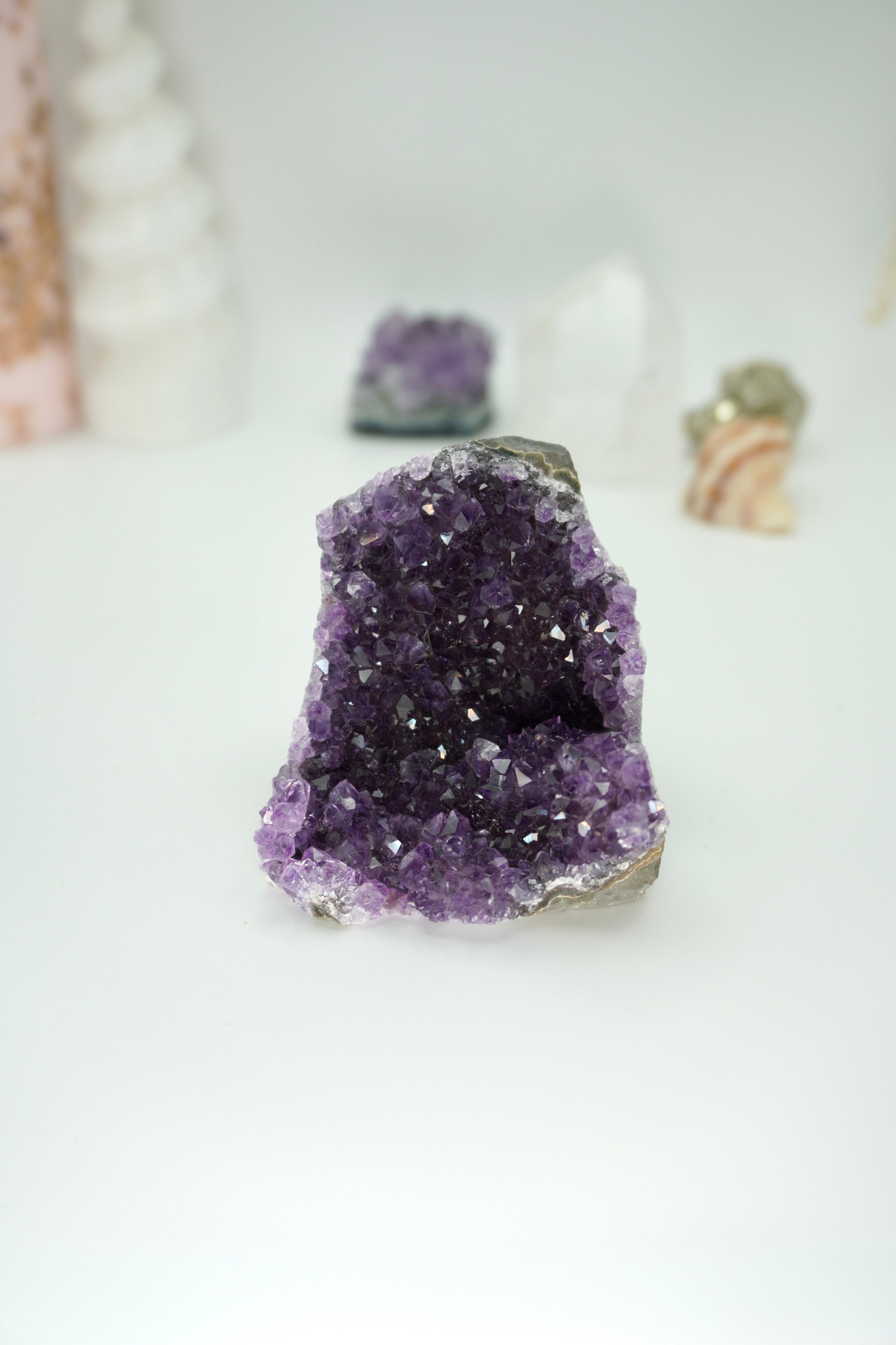 DRUSA AMATISTA BASE PLANA | ELIGE