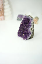 DRUSA AMATISTA BASE PLANA | ELIGE