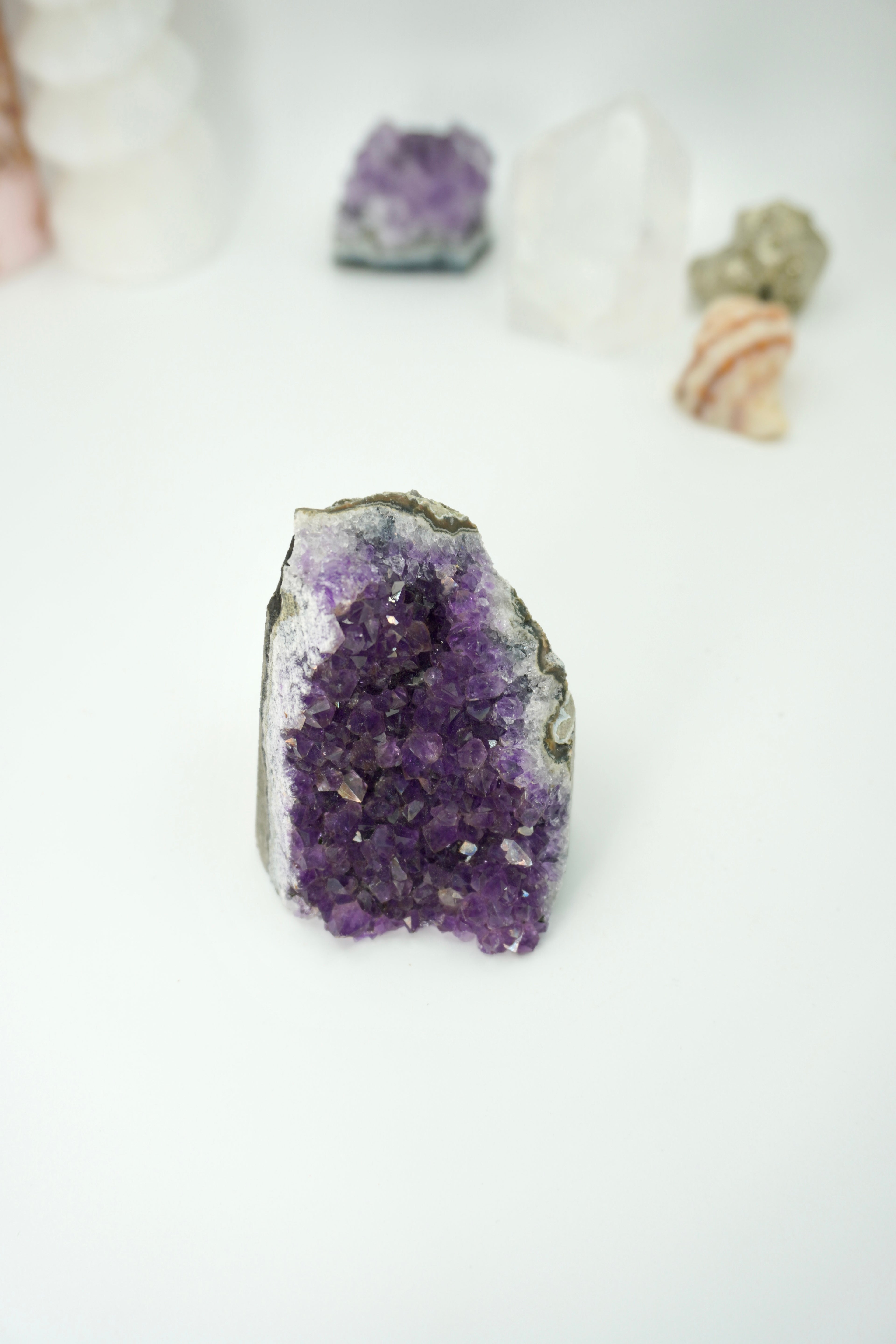 DRUSA AMATISTA BASE PLANA | ELIGE