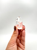 PUNTA CUARZO EXTRA | AMPLIFICADOR