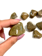 Jaspe serpiente rodado 25/40mm