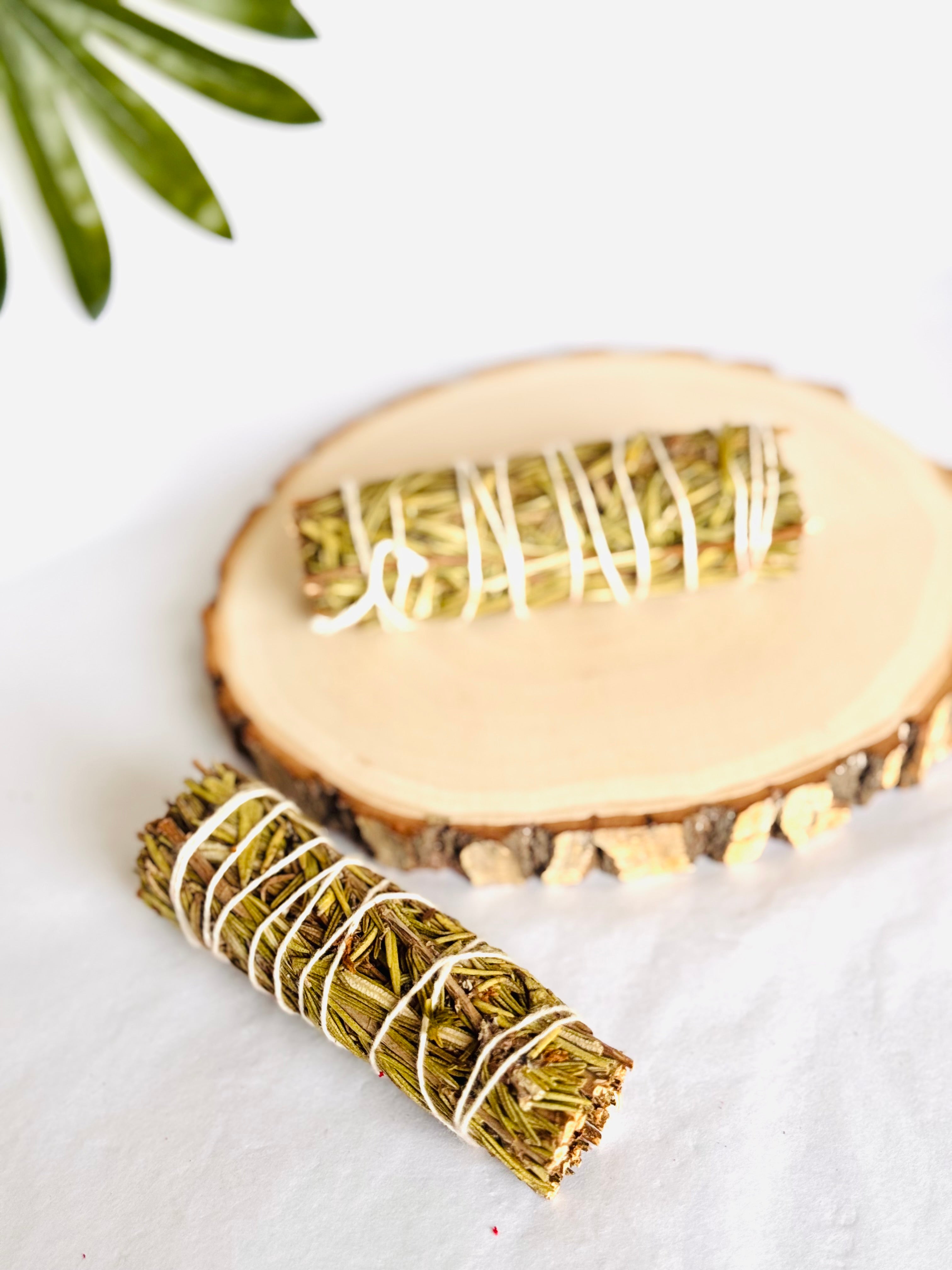 ATADO DE ROMERO  | ATRAE LO BUEBO | ELIMINA LAS MALAS ENERGÍAS