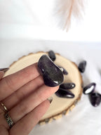 RODADO DE AMATISTA 2 a 3cm | CALMA | MEDITACIÓN | INTUICIÓN