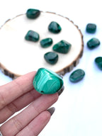 Pulsera elástica de malaquita natural verde con vetas

Anillo de malaquita en plata de ley estilo bohemio

Colgante de malaquita tallada con diseño artesanal

Mineral malaquita en bruto con vetas verdes intensas

Joya de malaquita natural hecha a mano

Malaquita piedra protectora y sanadora chakra corazón

Pulsera de minerales naturales malaquita mujer

Amuleto de malaquita verde piedra de transformación

Malaquita cristal natural con propiedades energéticas

Accesorio espiritual pulsera malaquita protecció