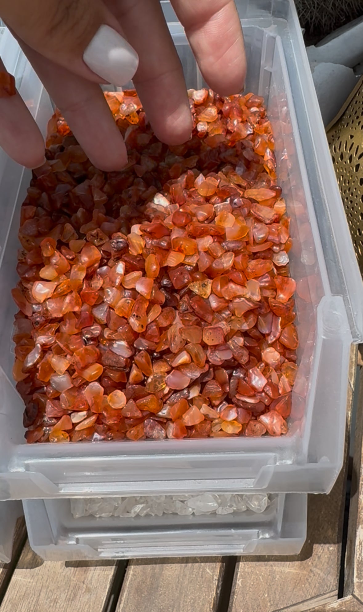 BOLSA CHIPS | CARNEOLA 100gr