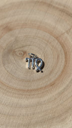 COLGANTE PLATA | VIRGO