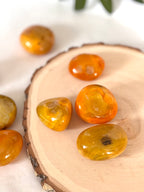 RODADO AGATA BUMBLEBEE