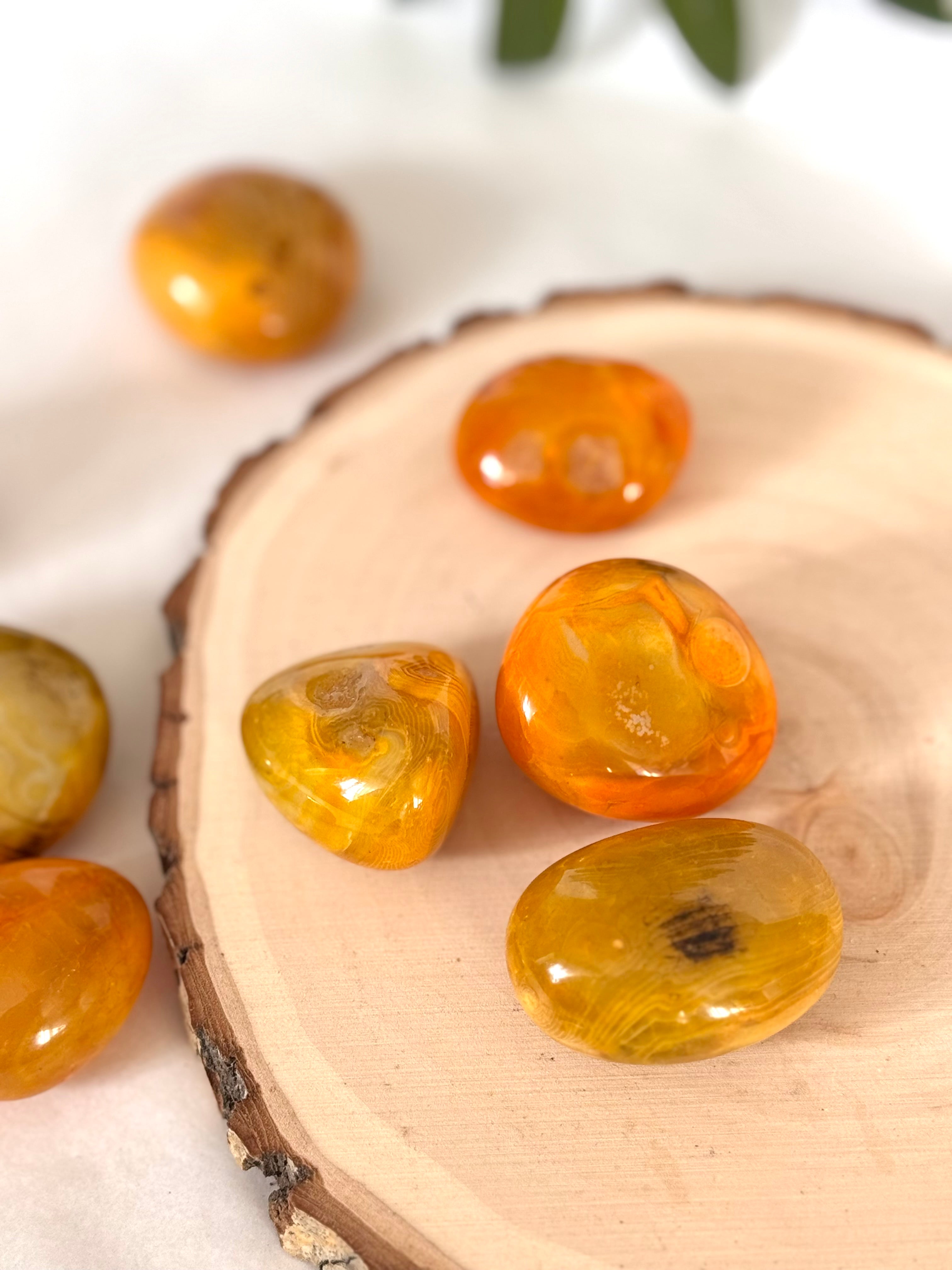 RODADO AGATA BUMBLEBEE