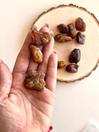 AMBAR RESINA FOSILIZADA