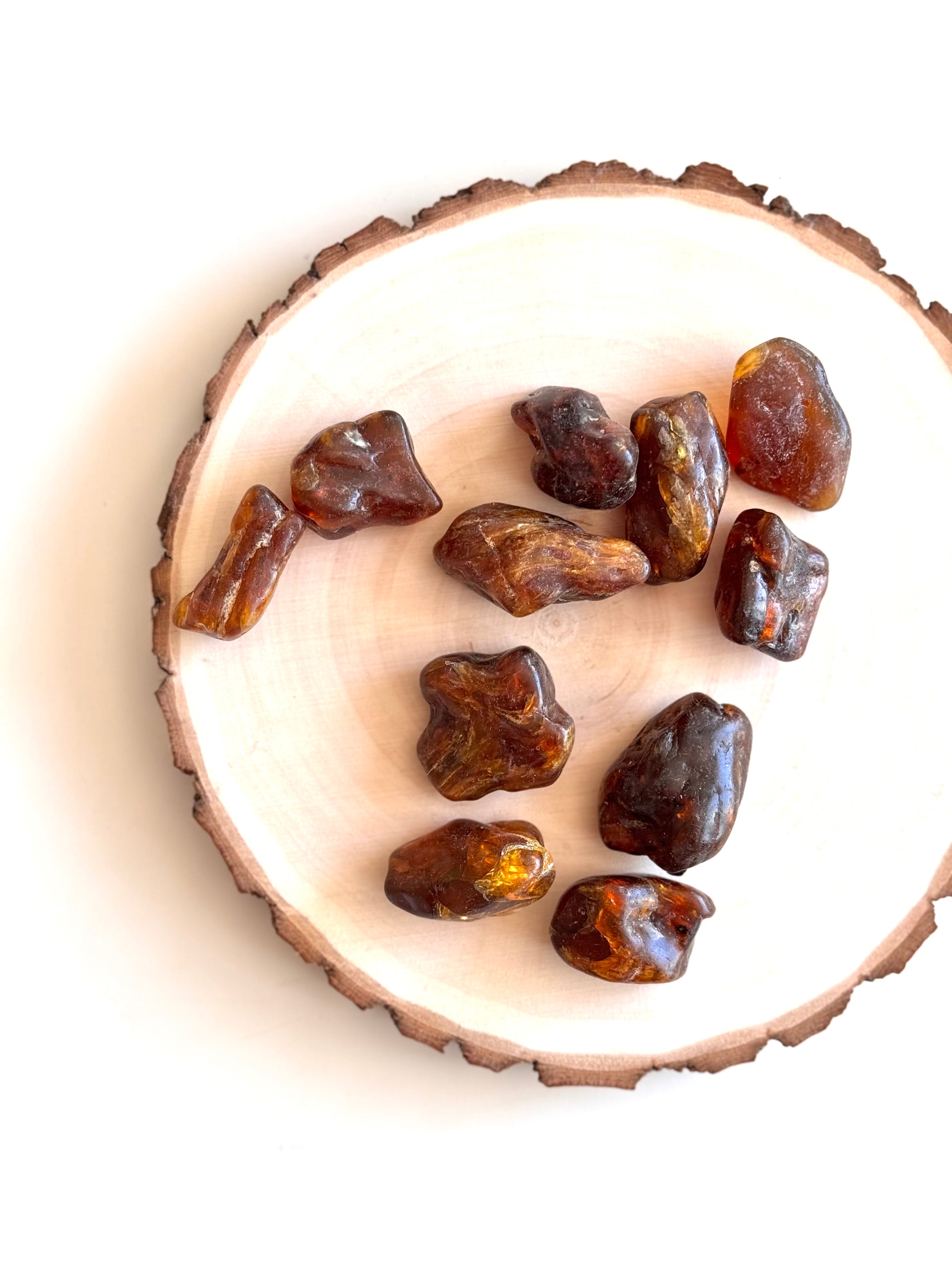 AMBAR RESINA FOSILIZADA