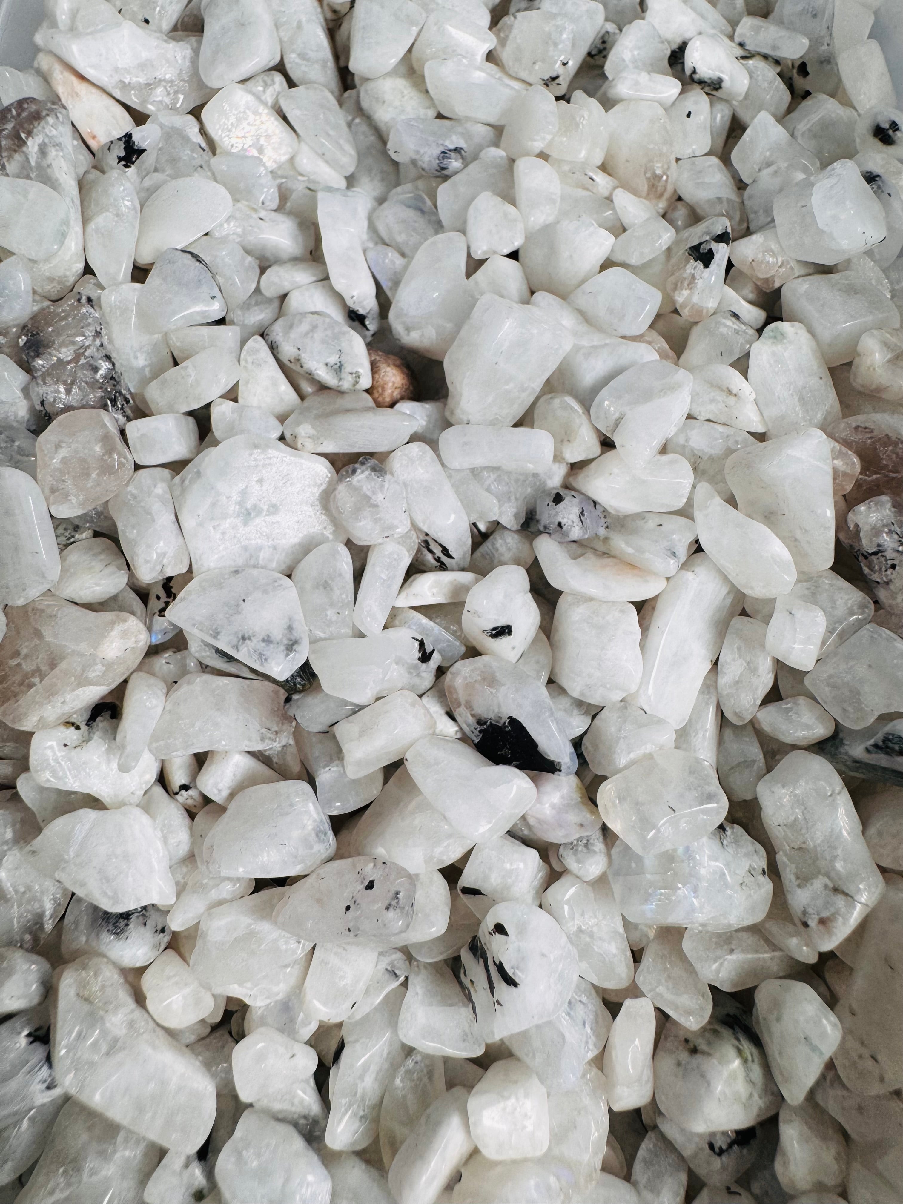 BOLSA CHIPS PIEDRA LUNA 100G